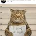 Steve Nicoll - Facebook