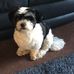 Steve Nicoll - Facebook