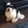 Steve Nicoll - @steve.nicoll - TikTok