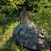 Steve Nieman - Facebook