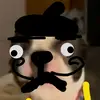 Steven Nimmo - @stevennimmo - TikTok