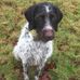 Steven Nimmo - Facebook