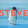 Steve Noack803 - @stevenoack803 - TikTok