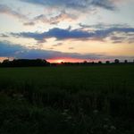 Steve Noack - @steve.noack.73 - Instagram