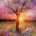 Steven Noack - Facebook