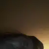 stevennoack329 - @stevennoack329 - TikTok