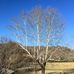 Steve Noe Family Homestead - Facebook