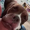 Steven Noe - @stevennoe1 - TikTok