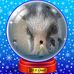 Steve Nolin - Facebook