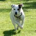Steve Nyquist - Facebook