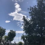 Steve Ojeda - @stev.eojeda - Instagram