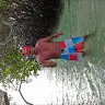 steve ojeda - @steveojeda39 - TikTok