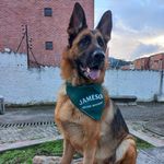 Steve Oliveros Urueña - @steveoliveros.u - Instagram