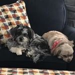 Steve Olmstead - @papao614 - Instagram
