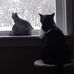 Steve Olmstead - Facebook