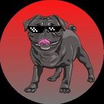Steven Olmstead - @stobersteve_ - Instagram