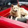 Steve Olson - @steve.olson44 - TikTok