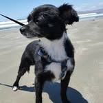 Steve Ontiveros - @bubbajakes - Instagram