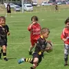 Steve Orban - @steve.orban - TikTok