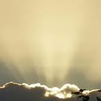 Steve Ortner - Facebook