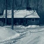 Steve Orvis - @orvissteve - Instagram