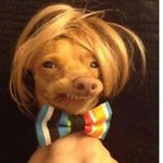 Steve Osmond - @ozzyflys - Instagram
