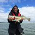Steve Ouellette - Facebook