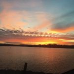 Steve Pace - @steve.pace.9803 - Instagram