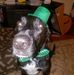 Steve Panza - Facebook