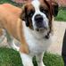 Steven Panza - Facebook