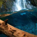 Steve J. Paradis - @whis1980 - Instagram
