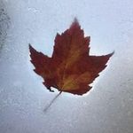 Steve Parent - @parent5154 - Instagram