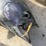 Steve Parisi - @uglycast - Instagram
