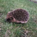 Steve Parrott - @stevep811 - Instagram
