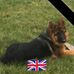 Steve Parrott - Facebook