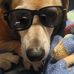 Steve Parrott - Facebook
