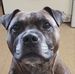 Steve Parrott - Facebook