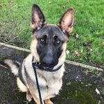 Steve Parrott - @steve.parrott4 - Instagram