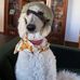 Steven Bubba Pascale - Facebook