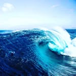 Steve Payton - @payton5188 - Instagram