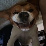 Steve Payton - @steve.payton.946 - Instagram