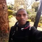 Steve Peace - @stevepeace21 - Instagram