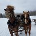 Steven Pechacek - Facebook