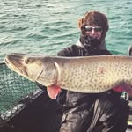 Steve Pedersen - @miesox_fishing - Instagram
