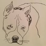 Steve Pedersen - @stevencpedersen - Instagram