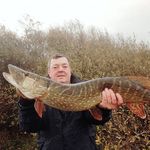 Steve Peek - @steve.peek.71 - Instagram