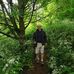 Steve Pegg - Facebook