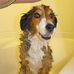 Steve Penney - Facebook