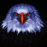Steve Perreault - @perreault8777 - Instagram