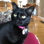 Steve Perreault - @stevep628 - Instagram